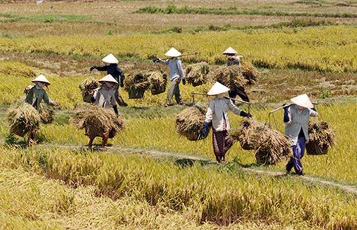 Xu hướng Nữ diễn viên Đẹp hơn thiên: Hotspot Matrix tiết lộ bí quyết video viral