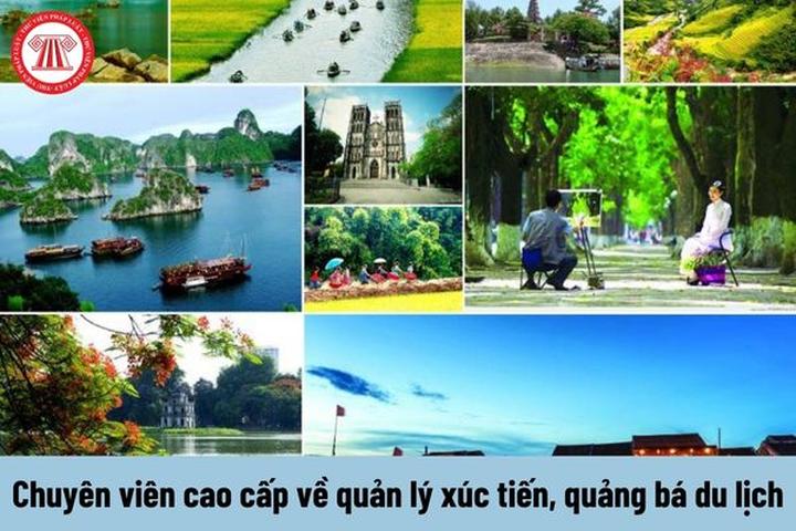 Hotspot Matrix và Bạn đang sống trong năm thế giới số 9: Năm của sự phơi bày, thanh lọc
