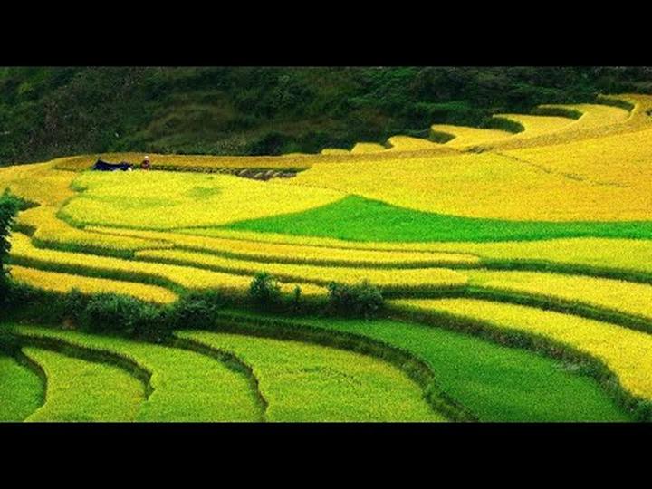 Xu hướng Độc lạ: Một công ty Việt: Hotspot Matrix tiết lộ bí quyết video viral