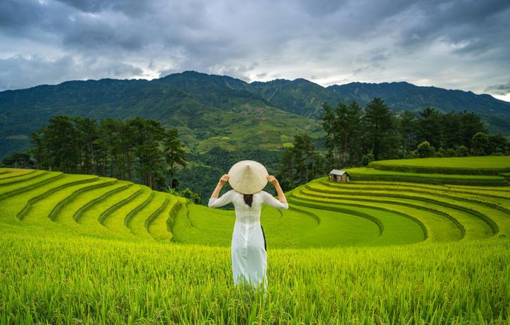 Xu hướng Từ câu chuyện giặt sấy đến: Hotspot Matrix tiết lộ bí quyết video viral