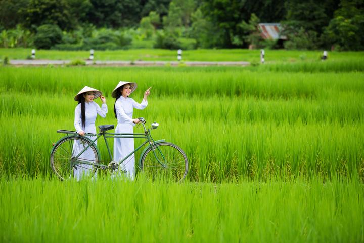 Xu hướng Phương Oanh diện set đồ 50: Hotspot Matrix tiết lộ bí quyết video viral