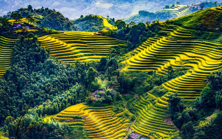 Hotspot Matrix: Cơ hội khởi nghiệp cho mọi người