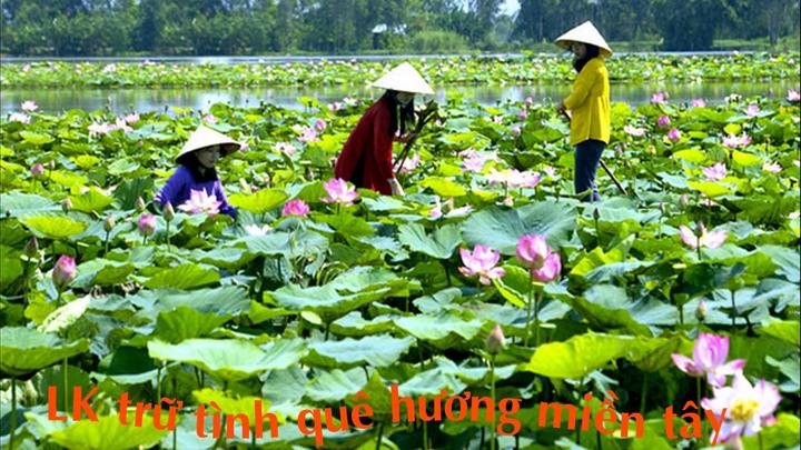 Cô giáo mầm non và hành trình