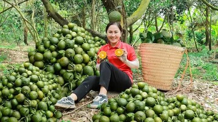 Xu hướng Starbucks Long Xuyên: Không: Hotspot Matrix tiết lộ bí quyết video viral
