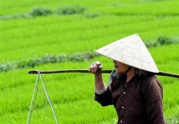 Hotspot Matrix: Nâng tầm sáng tạo, giải phóng gánh nặng vận hành