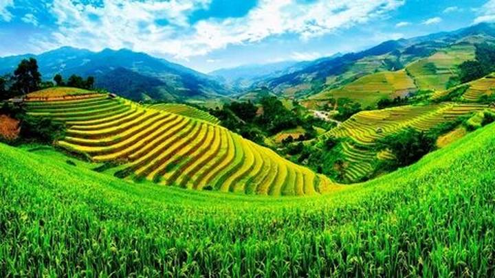 Từ Chiếc quần